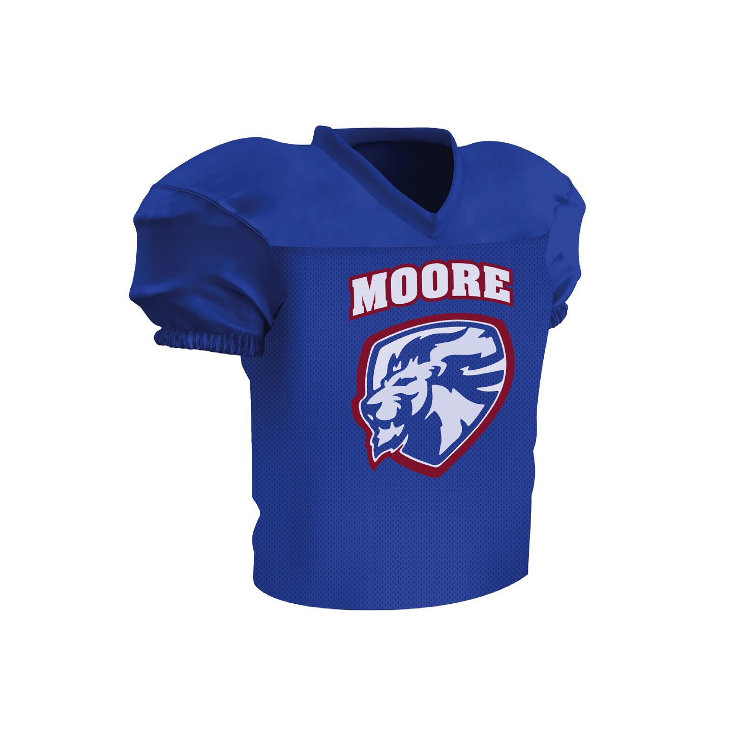 Lions Mesh Practice Jersey